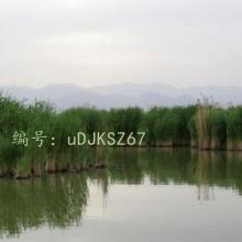 㶫ʡ
